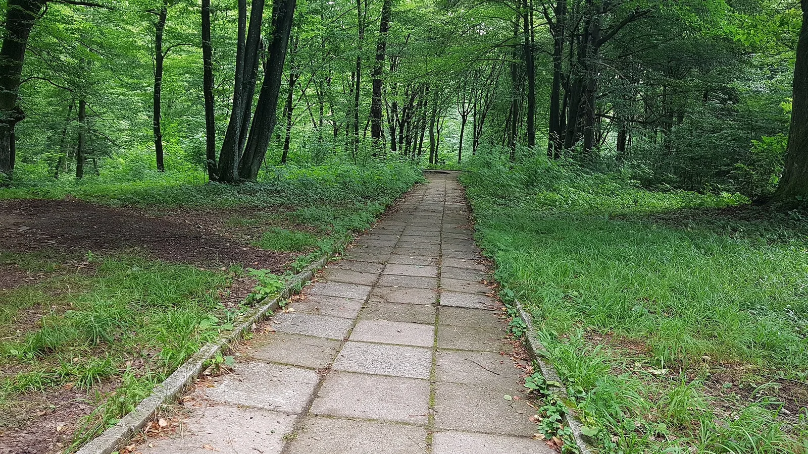 Terrenkur walking area in Almaty