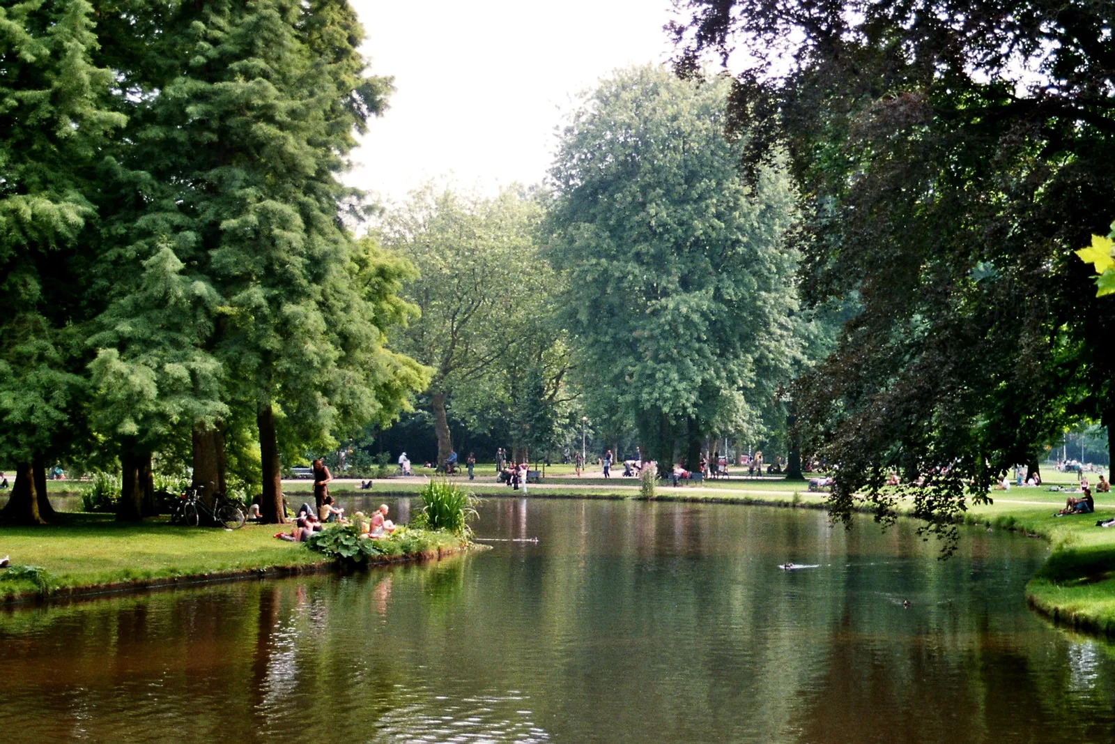 A leafy path in Vondelpark, Amsterdam