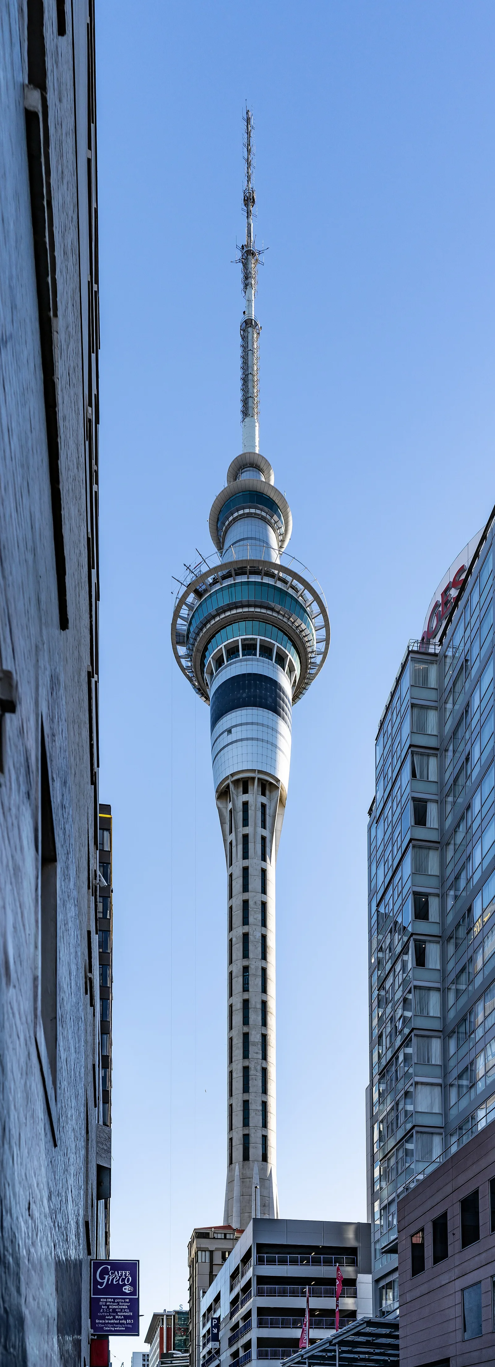 The Sky Tower’s observation pod and mast against a blue sky, flanked by office buildings