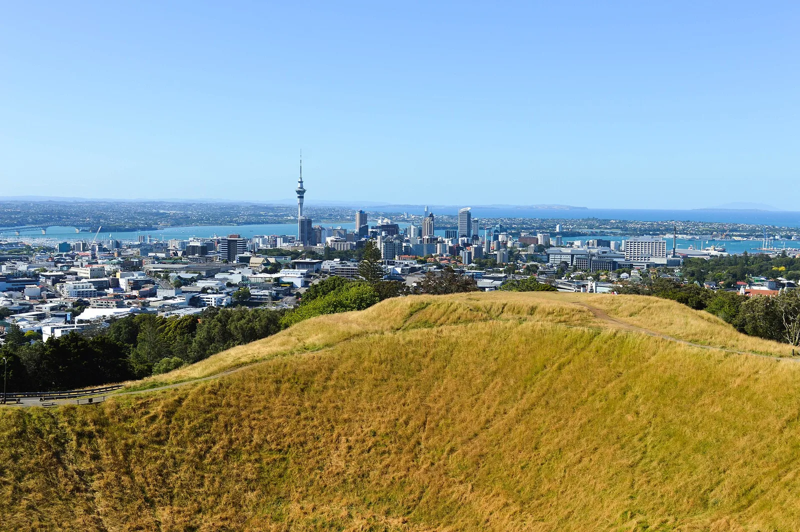 The grassy slopes of Maungawhau / Mount Eden with the Auckland skyline and the Sky Tower in the distance