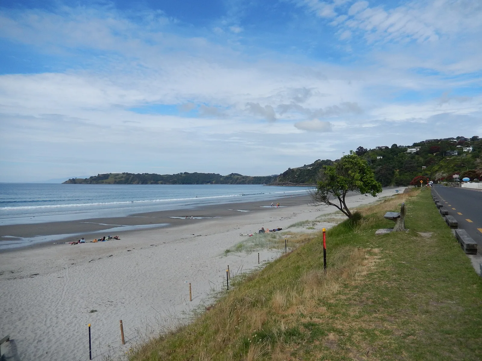 Onetangi Beach on Waiheke Island, a long stretch of sand with a grassy bank in the foreground