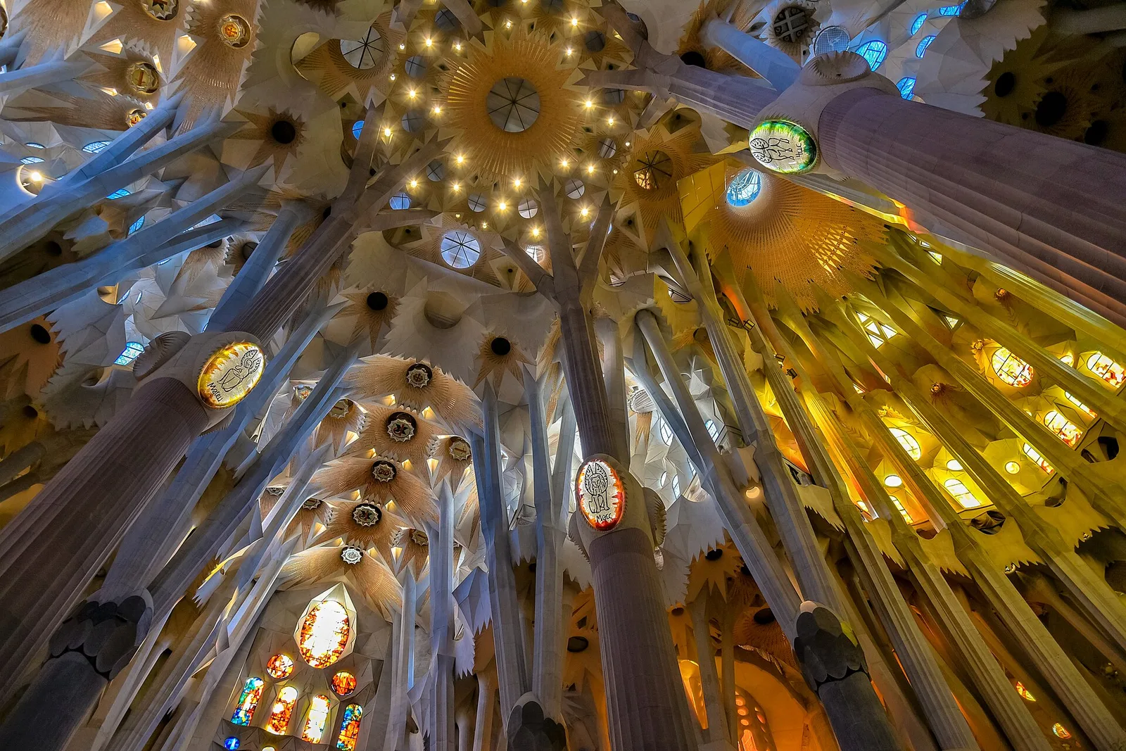 The tree-like columns and vaulted ceiling of the Sagrada Família interior glowing with colored light
