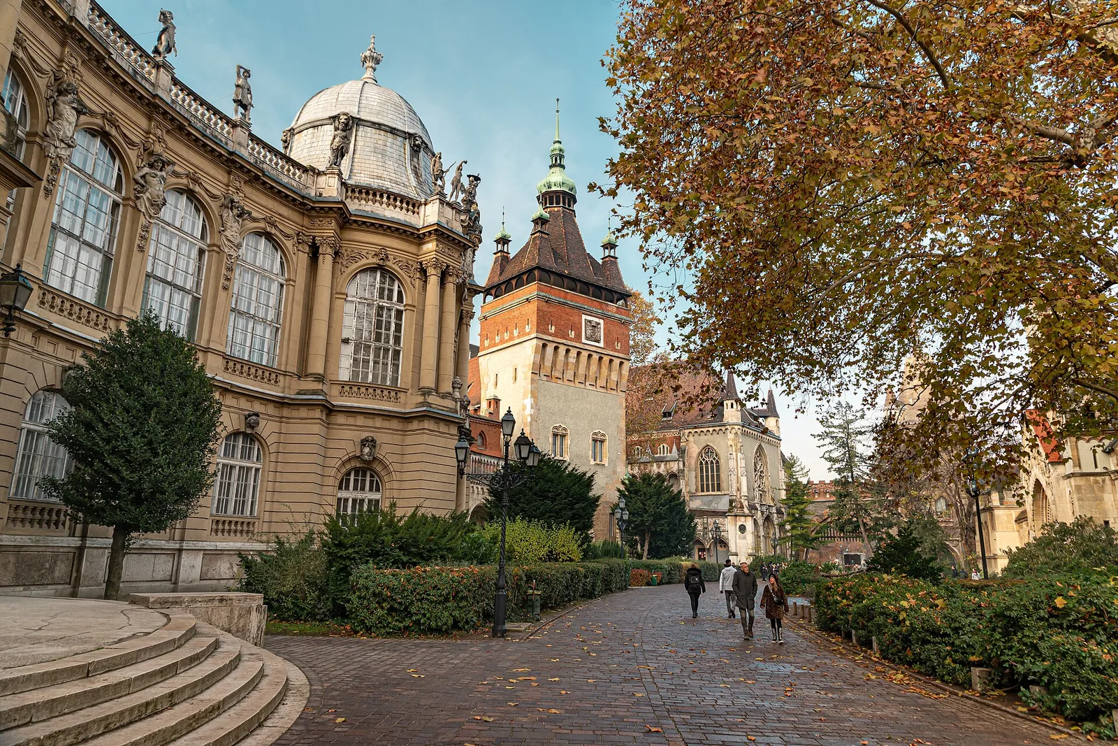 A tower and the domed wing of Vajdahunyad Castle beside a tree-lined path in autumn