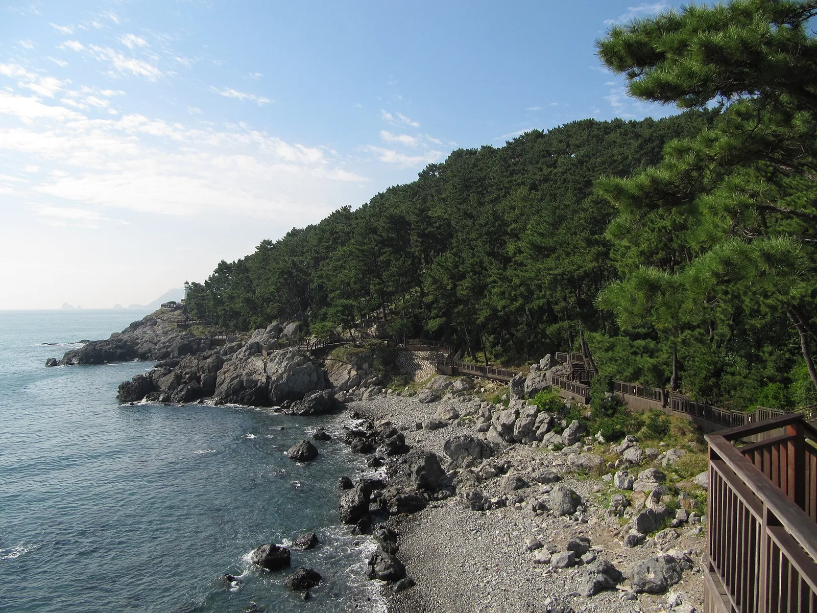A pine-covered rocky headland on Dongbaekseom with the sea beyond