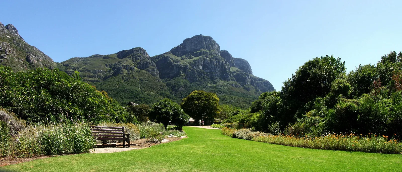 Kirstenbosch National Botanical Garden in Cape Town