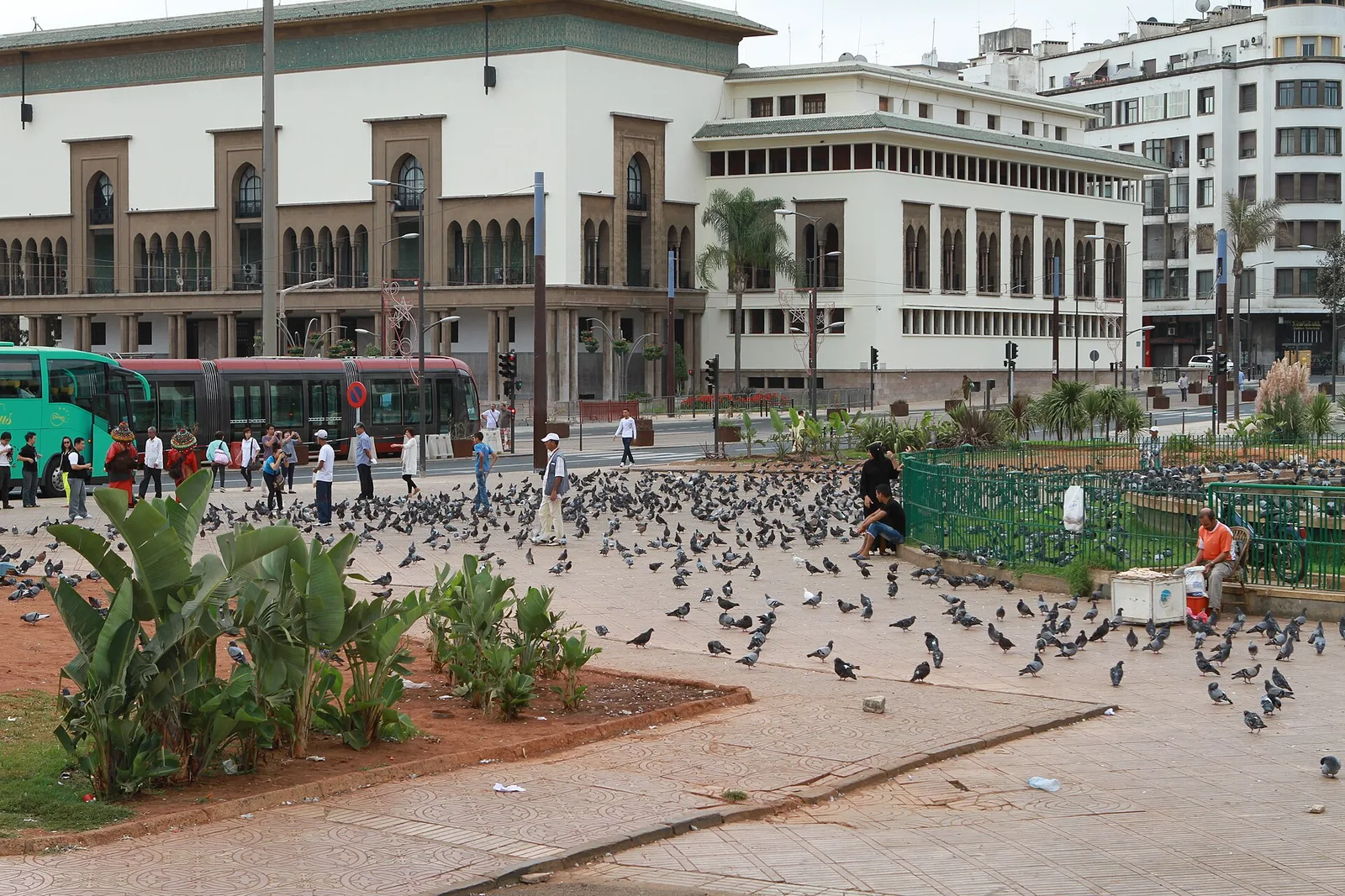 Pigeons on the plaza of Place Mohammed V, with pale administrative buildings and a bus behind