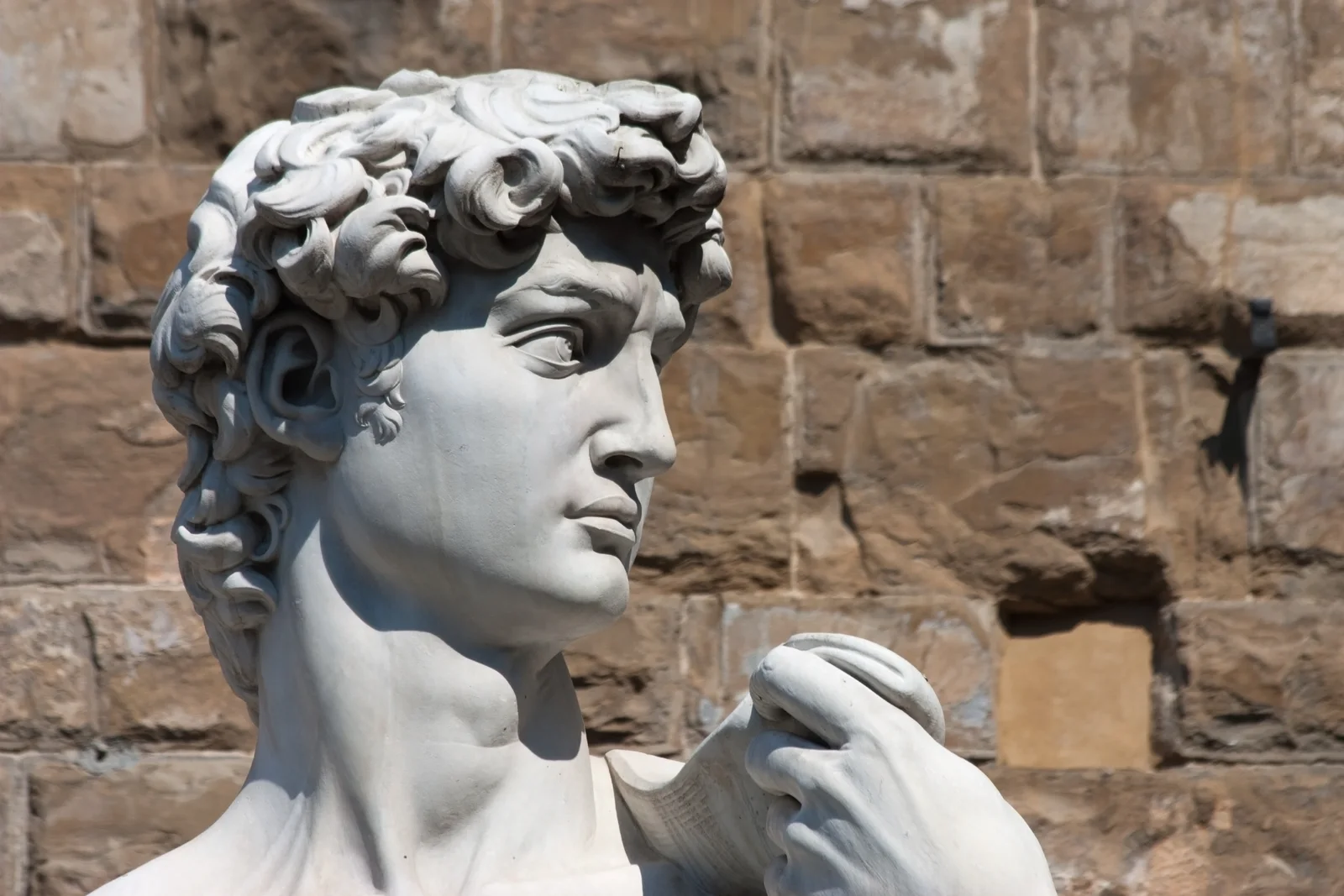 Detail of Michelangelo David in Florence