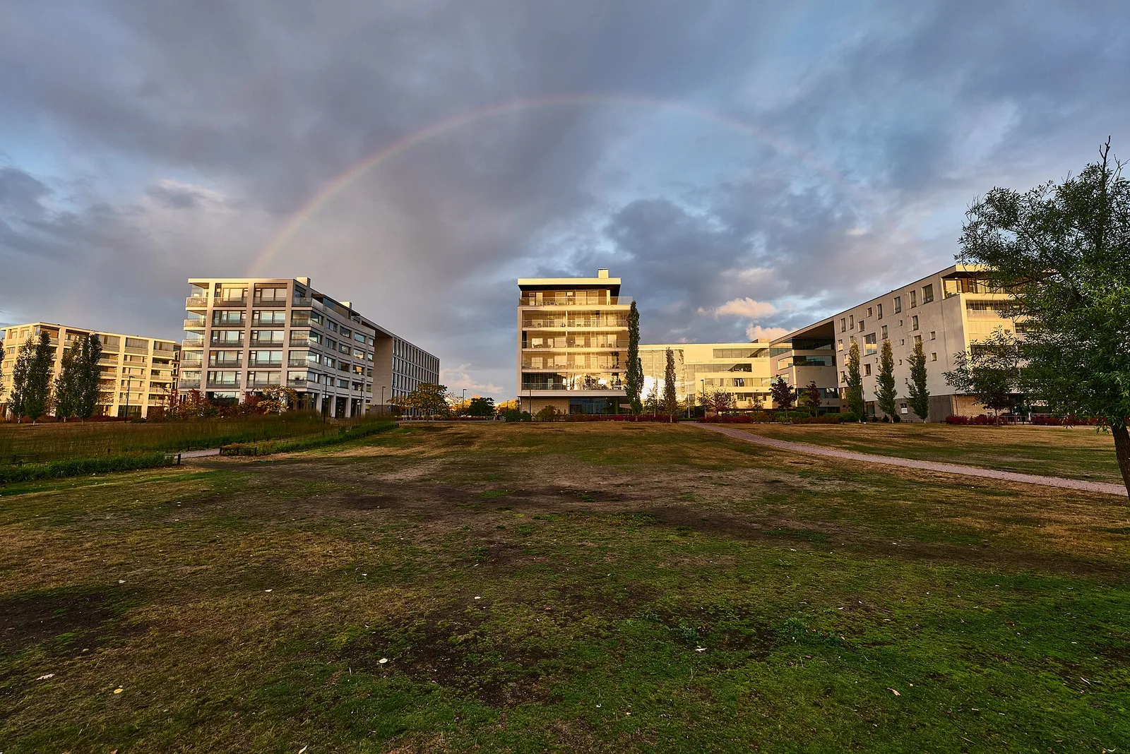A lawn and gravel path in Töölönlahti park, with modern apartment blocks and a rainbow behind