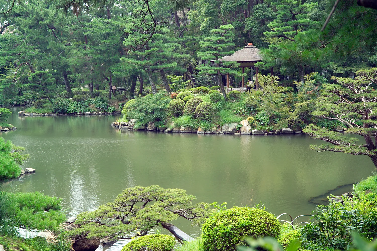 A still pond ringed by pine trees and clipped shrubs in Shukkeien Garden