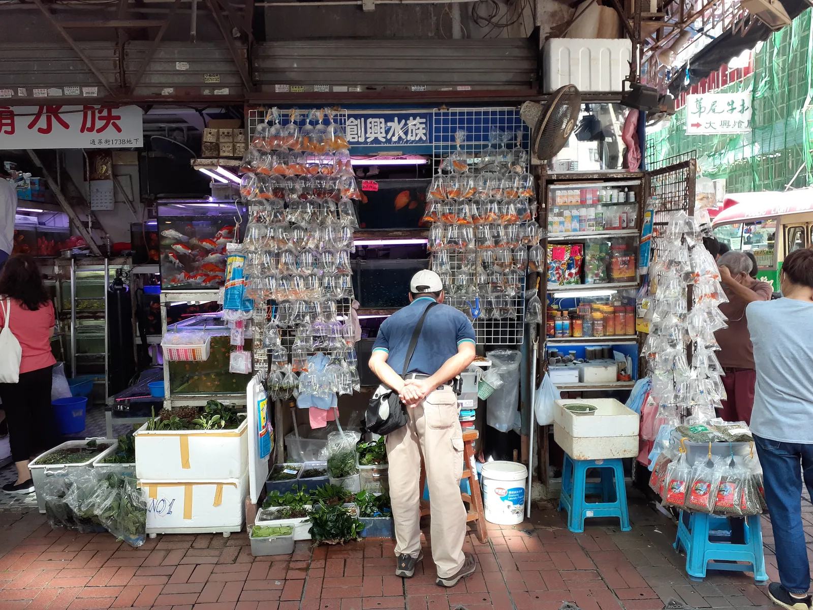 Goldfish Street in Mong Kok, Hong Kong