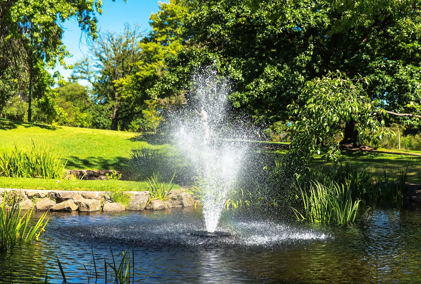 A fountain playing in a pond, with lawns and trees behind, in the Royal Botanic Gardens Victoria, Melbourne Gardens