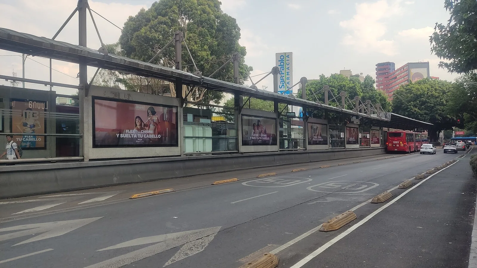 Avenida Álvaro Obregón in Roma Norte, Mexico City