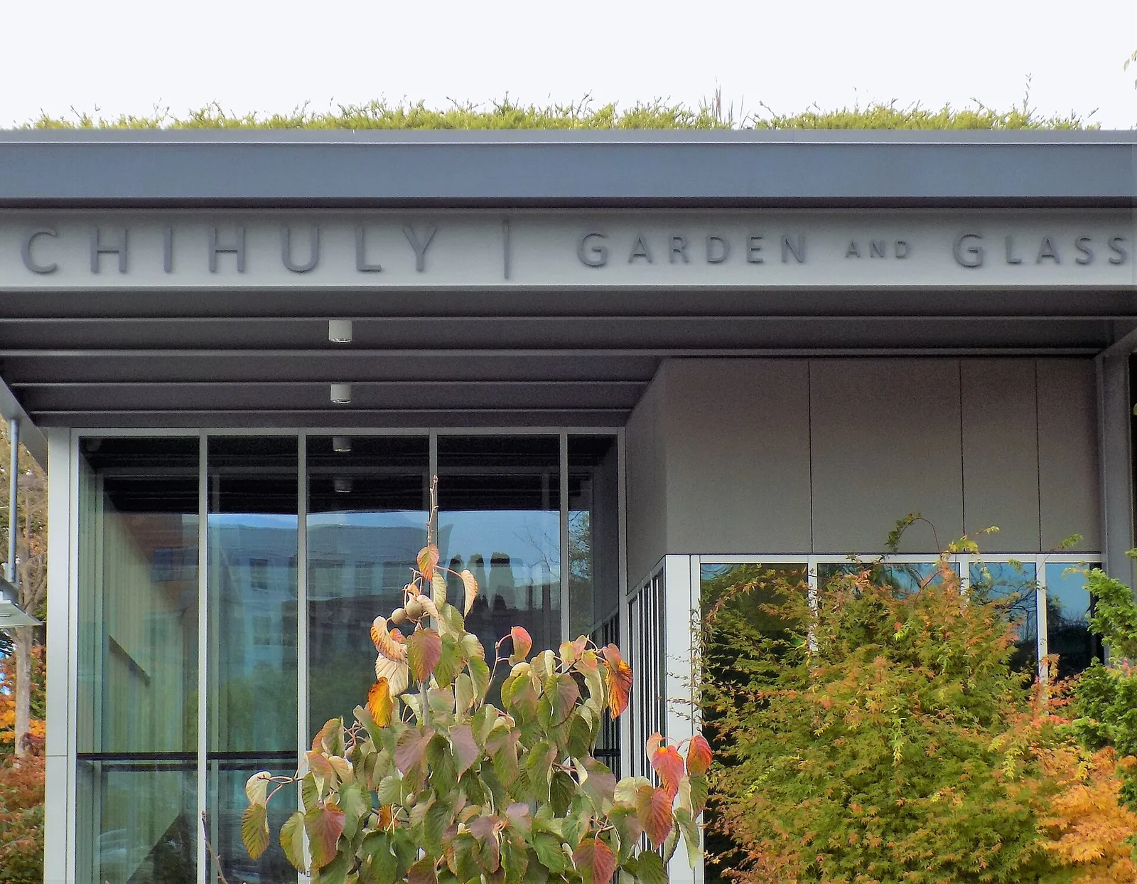 The glass entrance of Chihuly Garden and Glass, with the museum name above it and garden plants in front