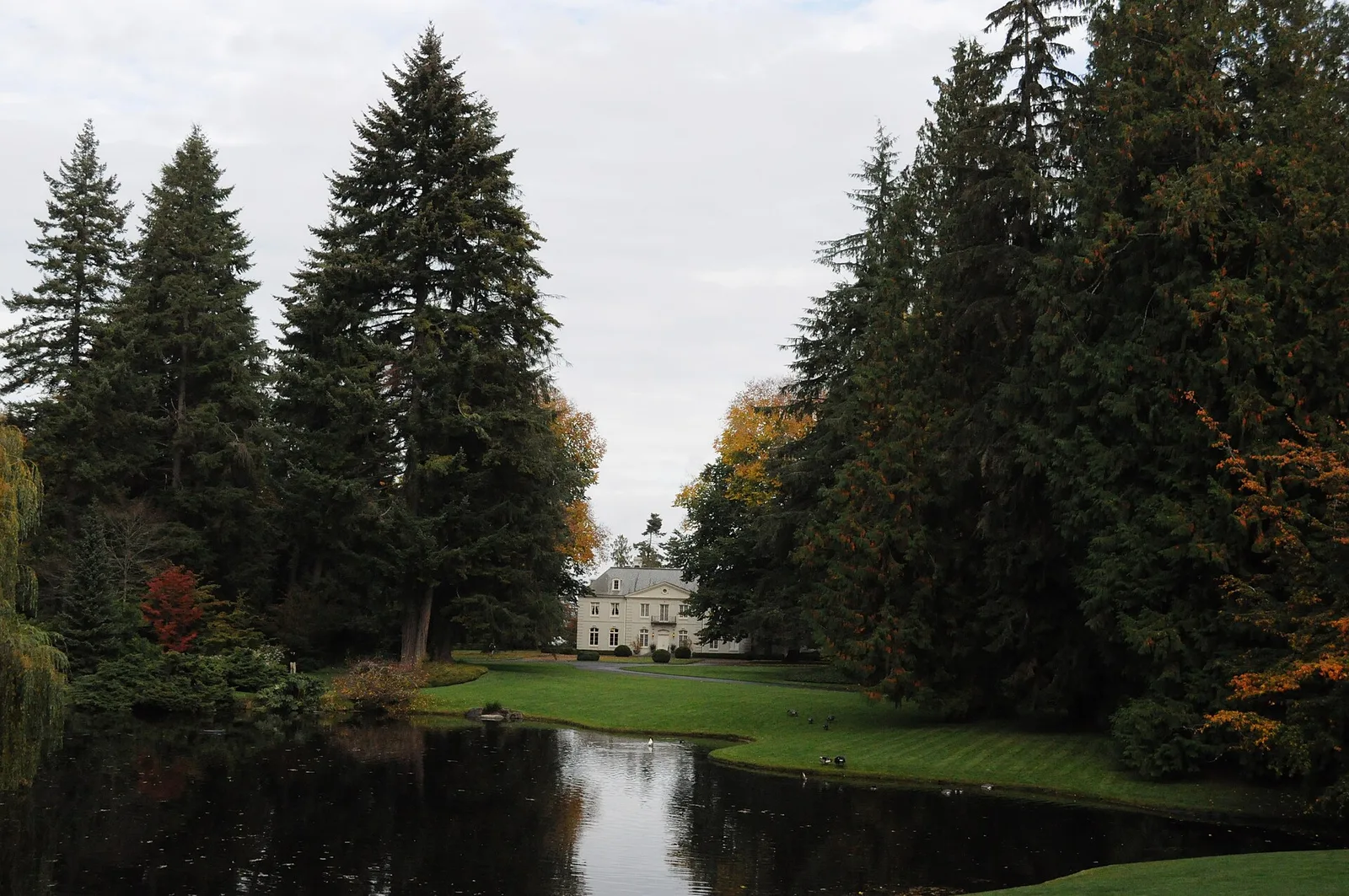 A pond and lawn at Bloedel Reserve, with a house among tall evergreens across the water