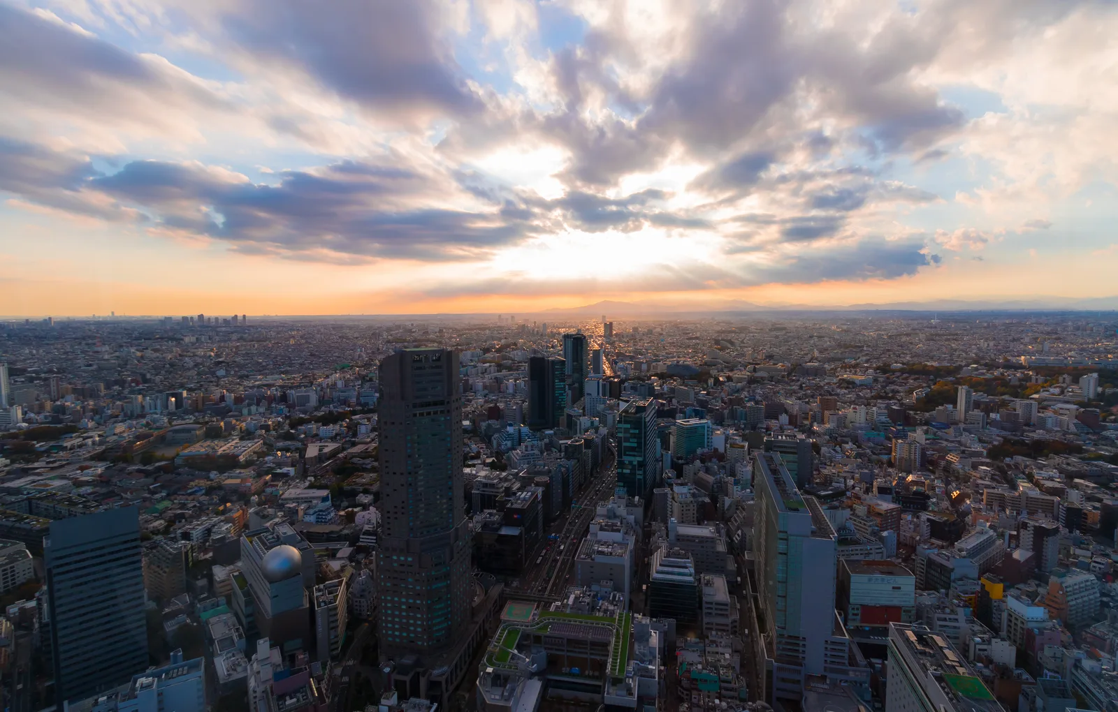 Tokyo skyline from Shibuya Sky, used as the hero image for a 5-day Tokyo itinerary