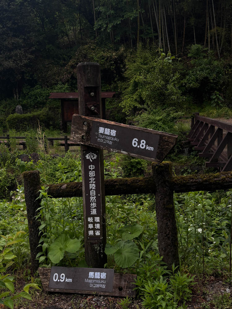 The wooded Nakasendo path with room to walk comfortably