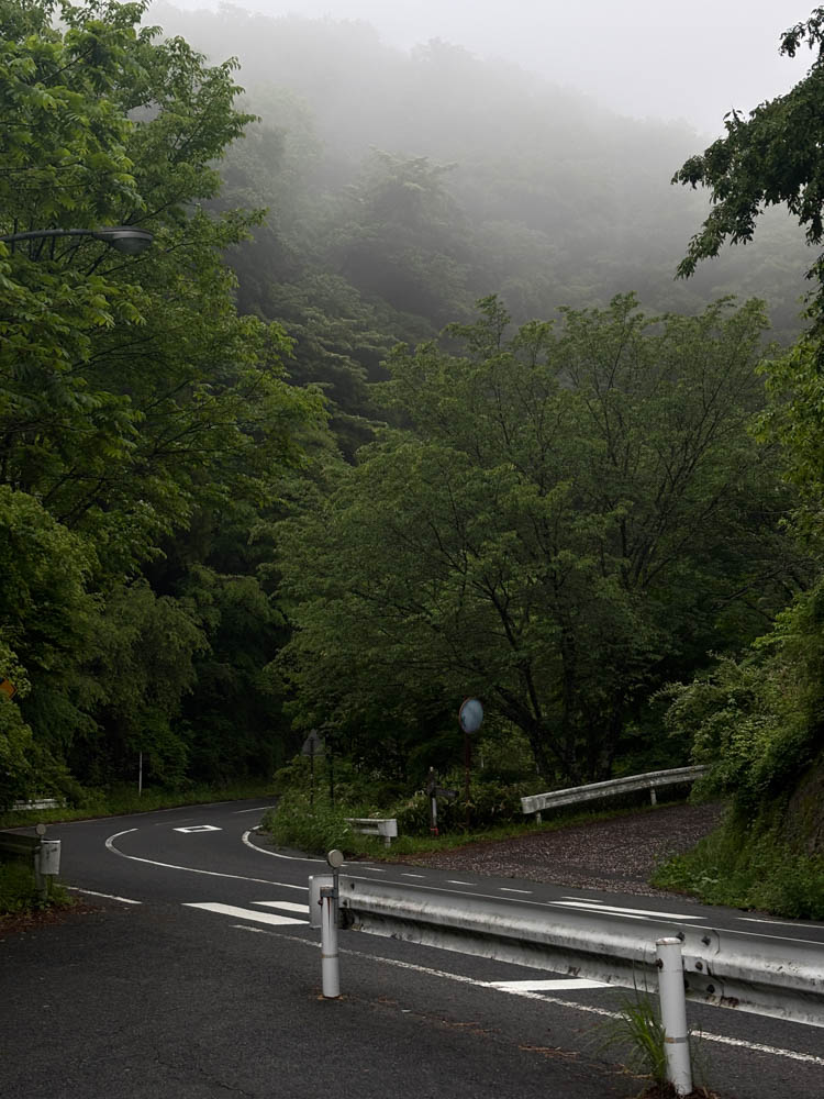 Rain-softened trees and trail scenery on the Nakasendo