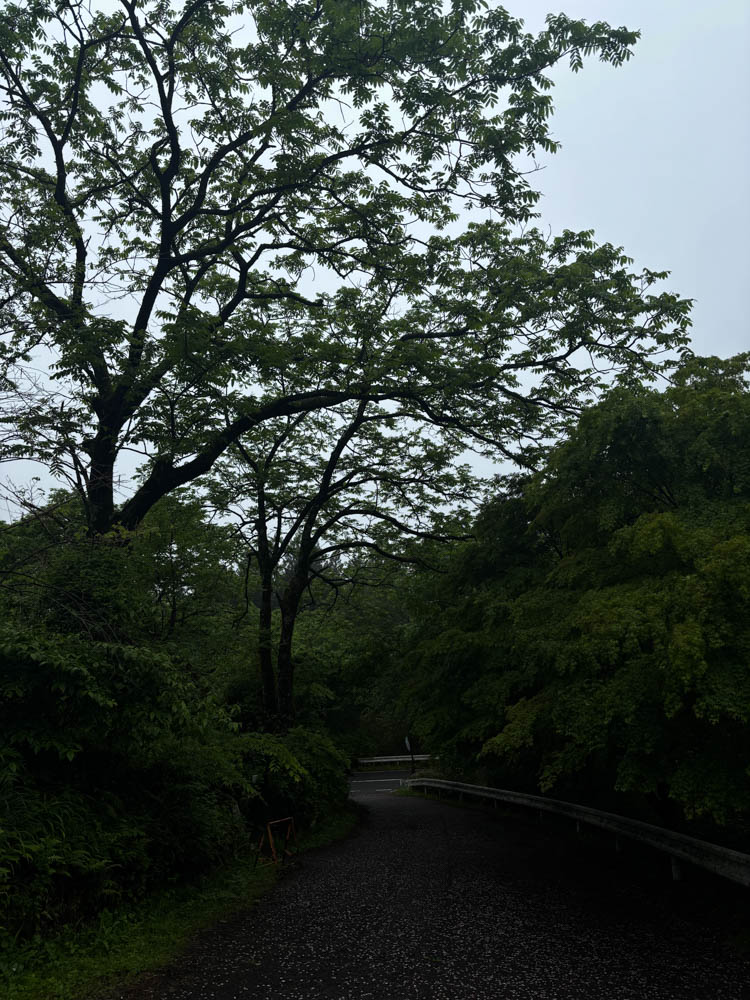 A quiet section of the trail approaching Tsumago