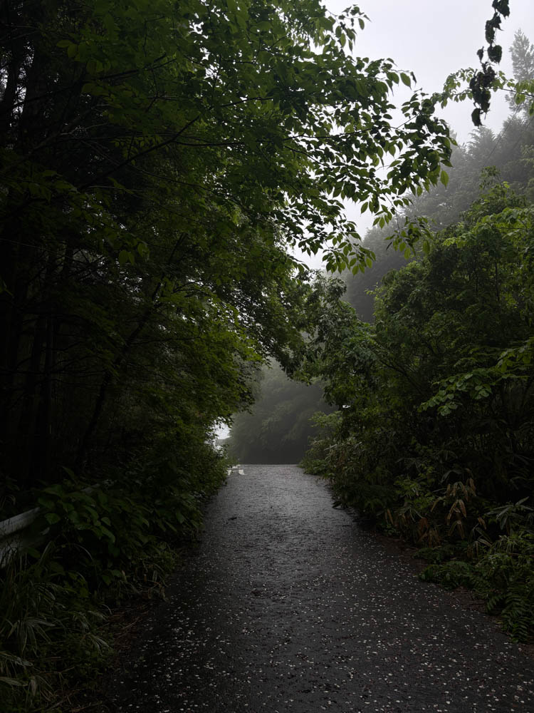 A misty forest scene on the Nakasendo Trail