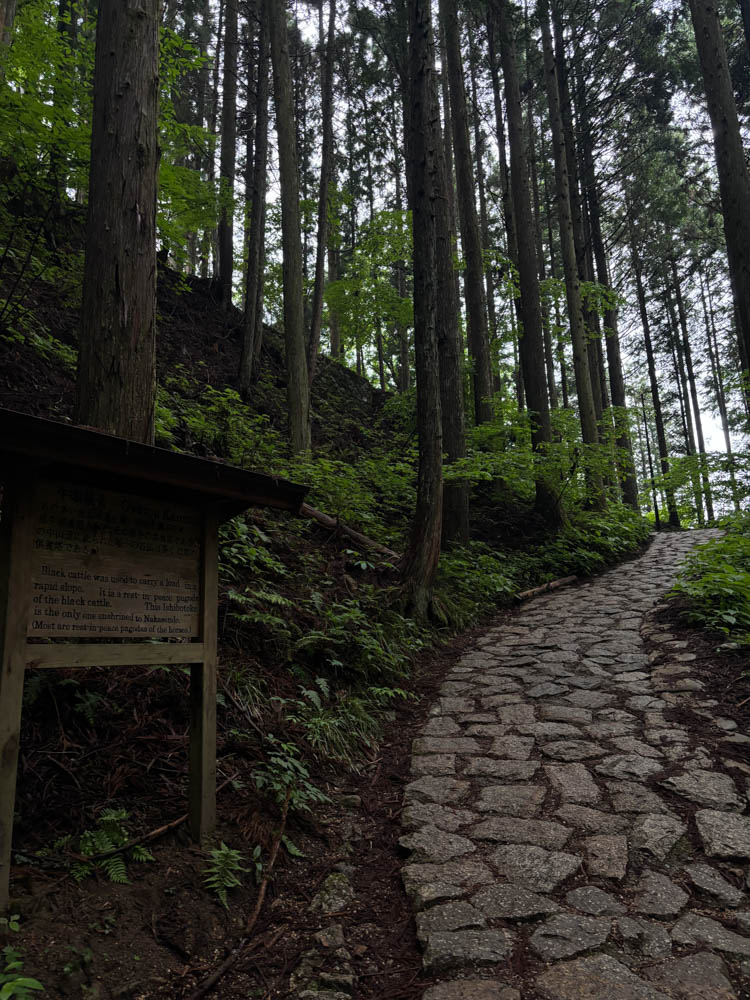 Green mountain scenery near Tsumago