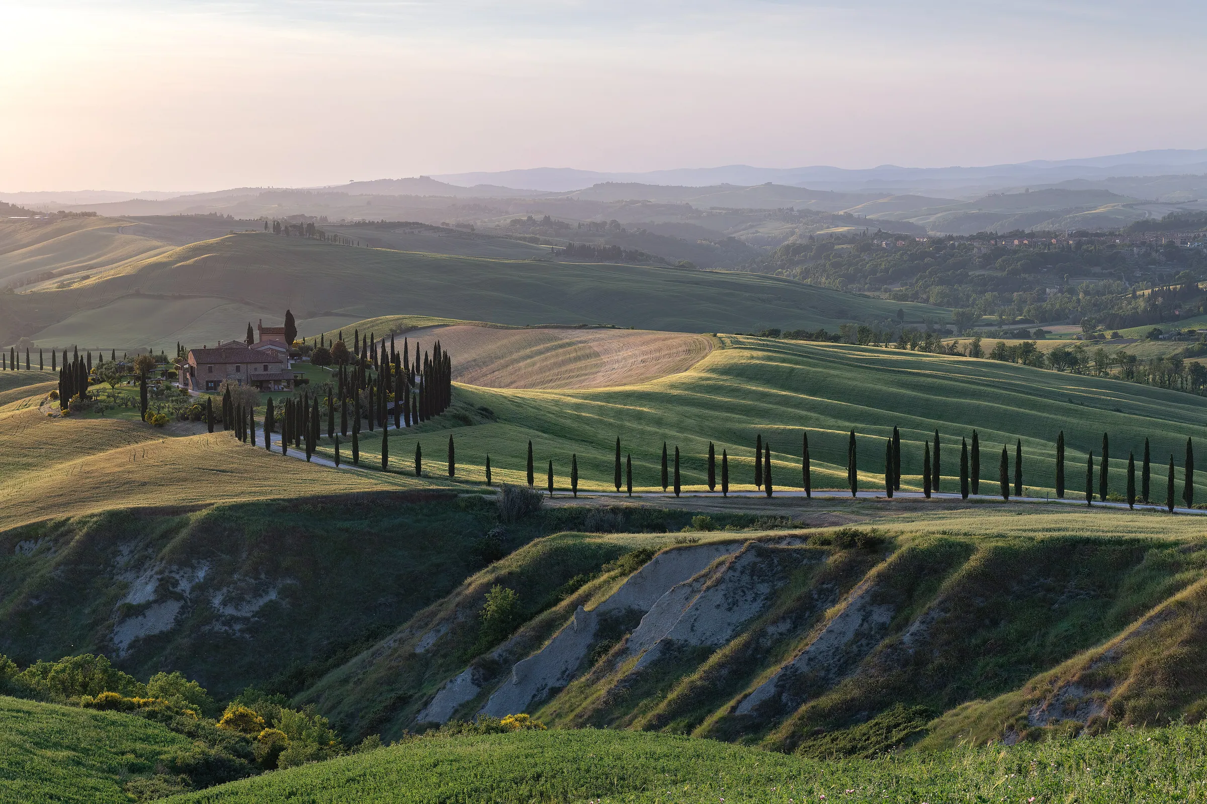 Rows of cypress trees along a Tuscan ridge above rolling green hills in soft evening light